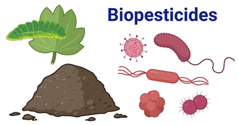 microbial biopesticides PDF