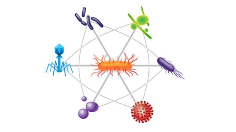 microbial host interaction microbial host interaction Reader