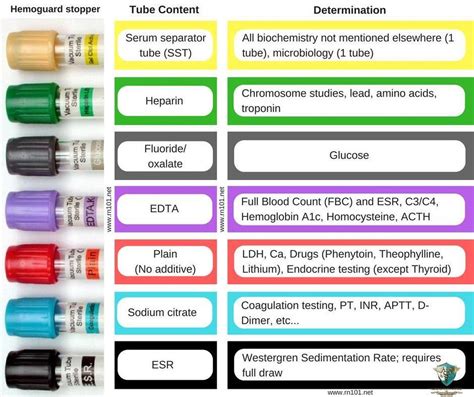 microbiology colour guide color guide PDF