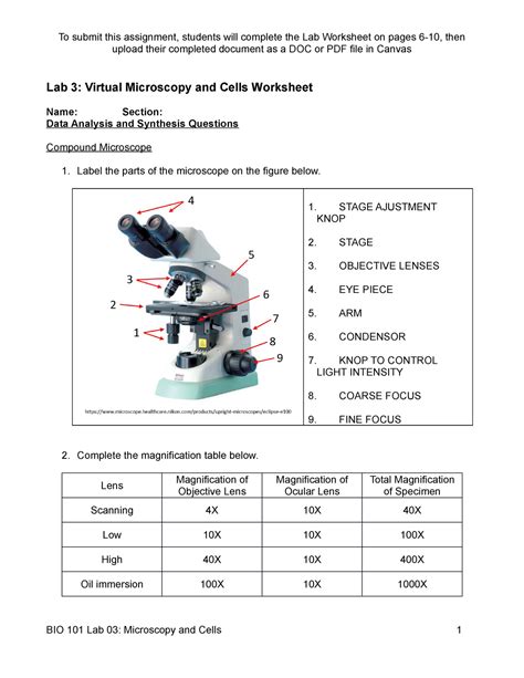 microbiology lab answer sheet Epub