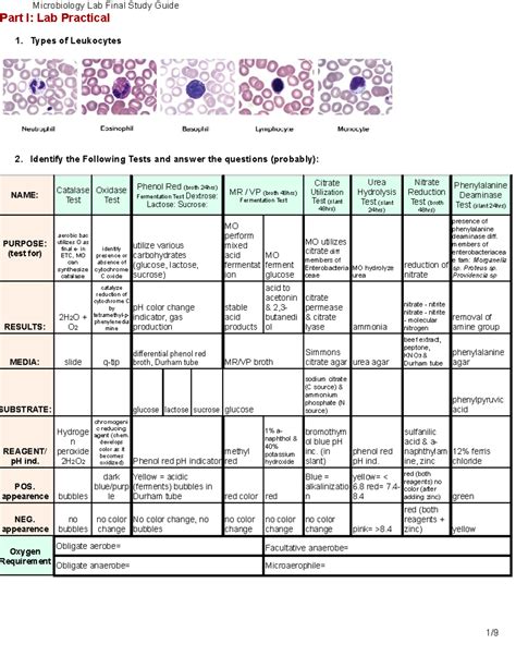 microbiology lab study guide PDF