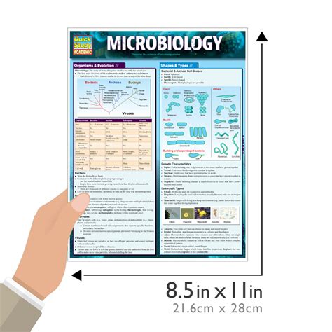 microbiology study guides and tests Doc