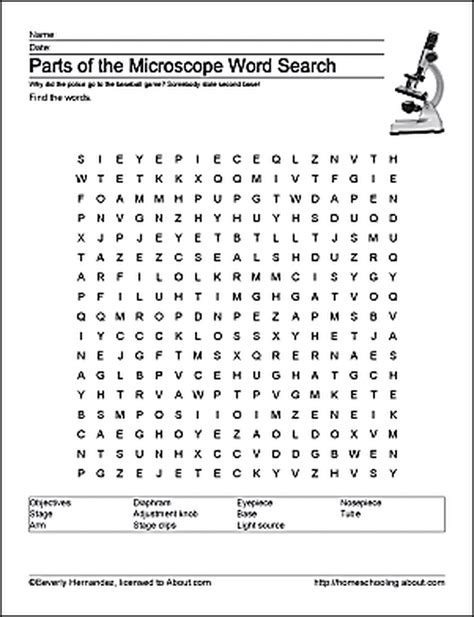 microscope word search answers Reader