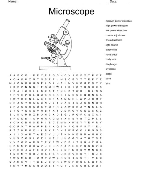 microscope word search answers Reader