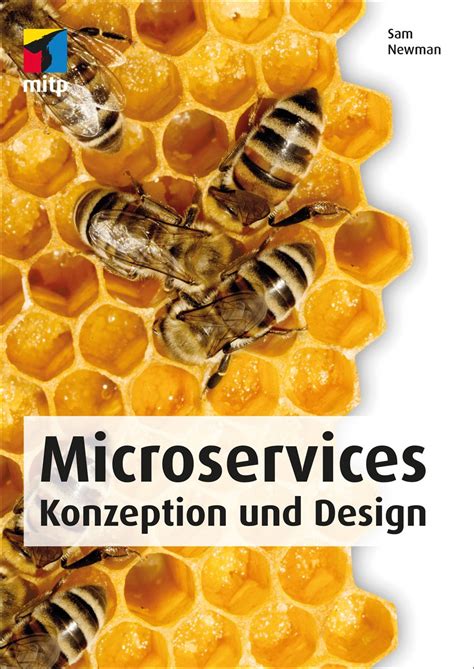 microservices konzeption design mitp professional Doc