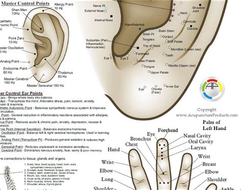 microsystem acupuncture microsystem acupuncture PDF