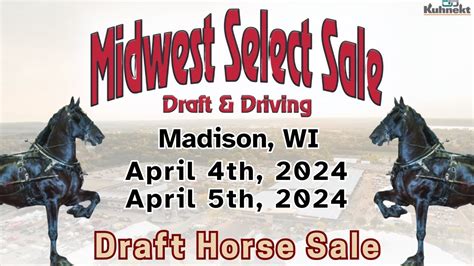 mid america draft horse sale 2024