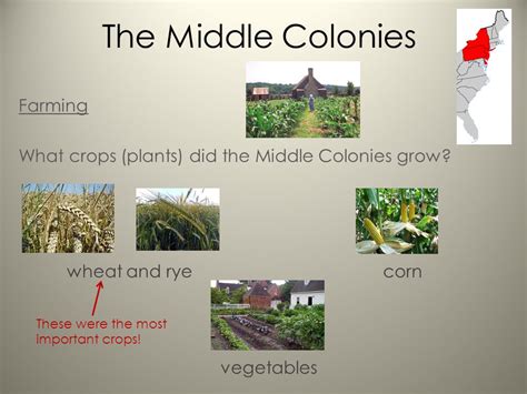 middle colonies crops