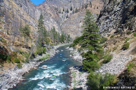 middle fork of the salmon river