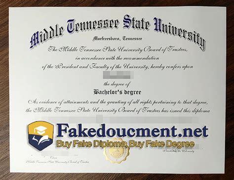 middle tennessee state online degrees