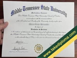 middle tennessee state university degrees