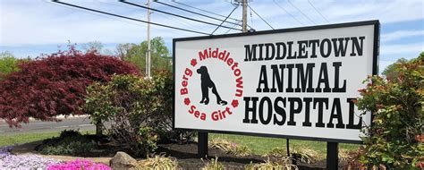 middletown animal hospital nj