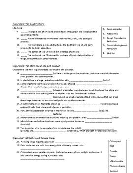 miller and levine biology chapter 8 assessment answers Doc