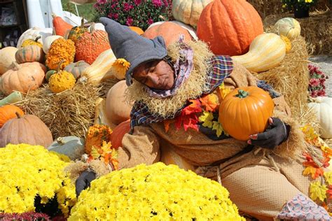 milton pumpkin festival