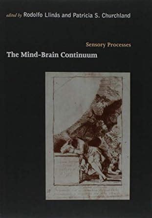 mind brain continuum sensory processes Doc