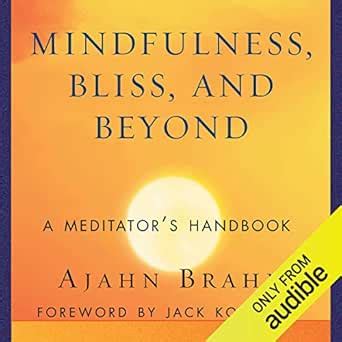 mindfulness bliss and beyond a meditators handbook Doc