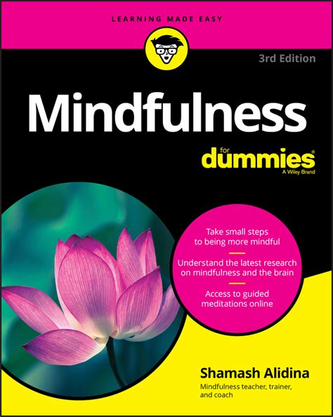 mindfulness for dummies mindfulness for dummies PDF