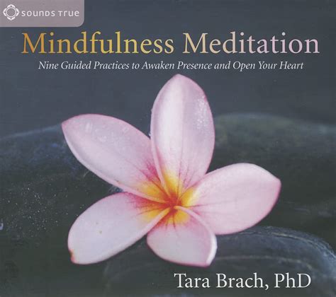 mindfulness meditation nine guided practices to awaken presence and open your heart Reader