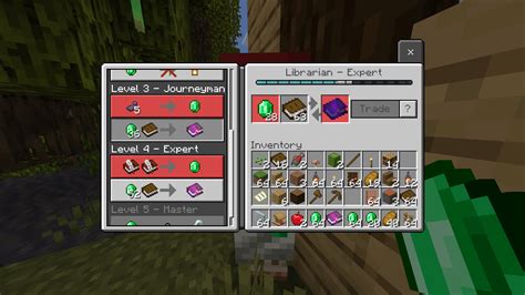 minecraft 1.18.2 villagers librarian chance for mending