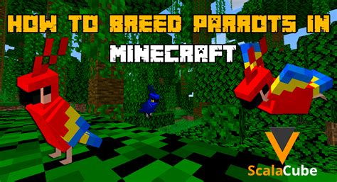 minecraft breed parrots