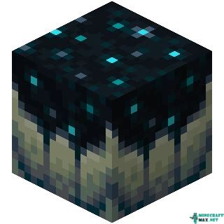 minecraft catalyst