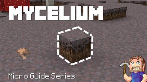 minecraft does mycelium spread