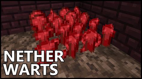 minecraft how to find nether wart