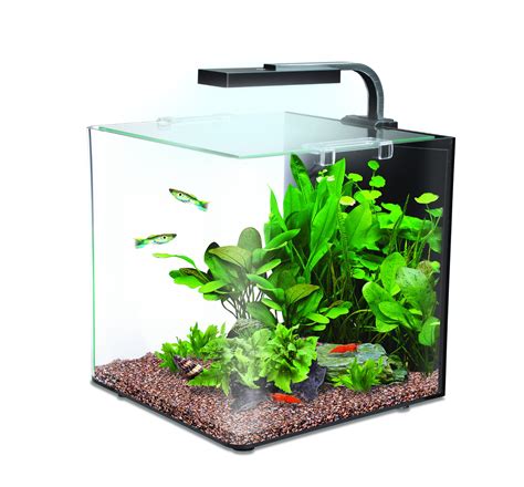 mini aquarium