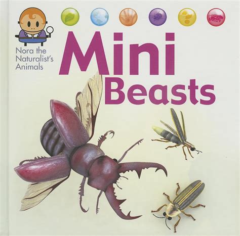 mini beasts nora the naturalists animals PDF