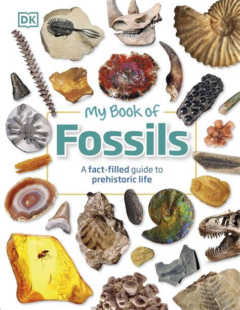 mini bite fossils dorling kindersley Kindle Editon