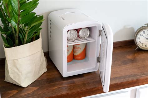 mini fridge for kids