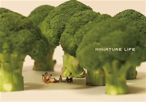 miniature life conceptual art of miniature calendar PDF