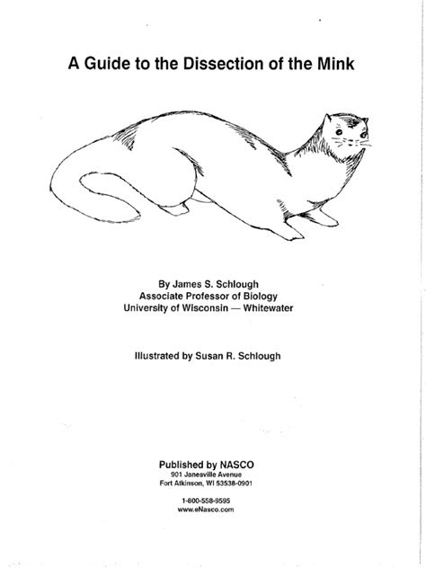 mink dissection student guide with answers Epub
