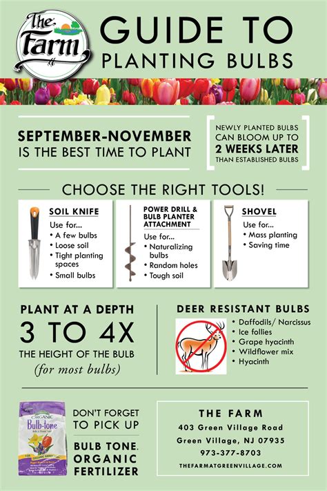 minnesota fall planting guide