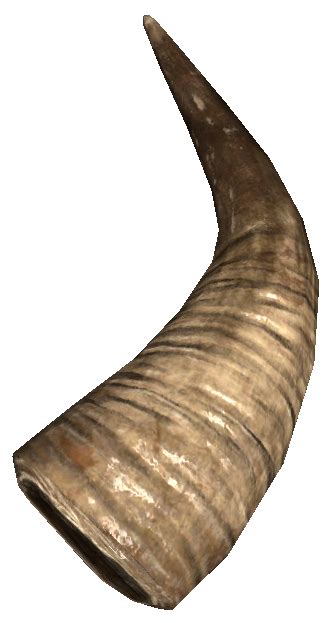 minotaur horn