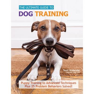 mintii_xo: The Ultimate Guide to Dog Training