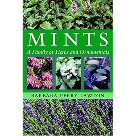 mints a family of herbs and ornamentals Reader