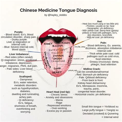 mirror of healthtongue diagnosis in chinese medicine Kindle Editon