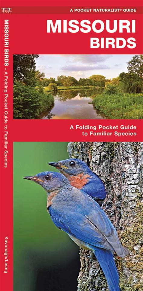 missouri birds a folding pocket guide to familiar species pocket naturalist guide series PDF