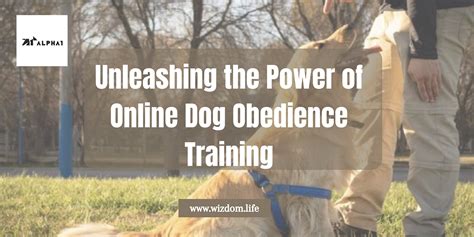 mistresszoeycummz: Unleashing the Power of Dog Training