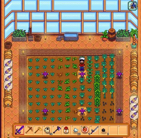 mixed seeds stardew