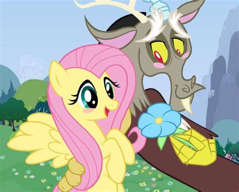 mlp discord and fluttershy