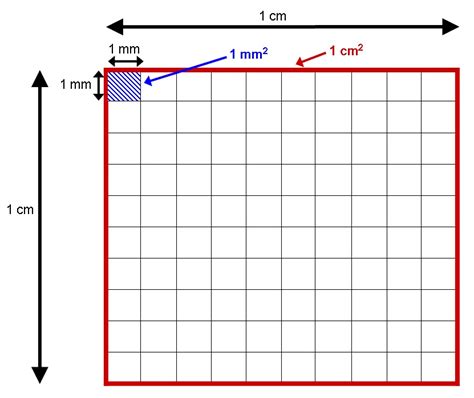 mm² to m²: A Comprehensive Guide for Conversions and Applications