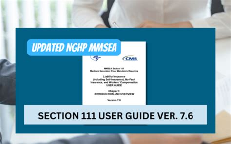 mmsea section 111 user guide Reader