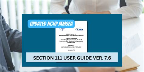 mmsea user guide section 111 Epub