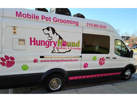 mobile pet grooming for cats