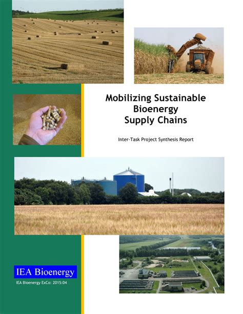 mobilizing sustainable bioenergy supply chains Kindle Editon