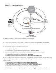 model 2 the carbon cycle pogil answers Reader