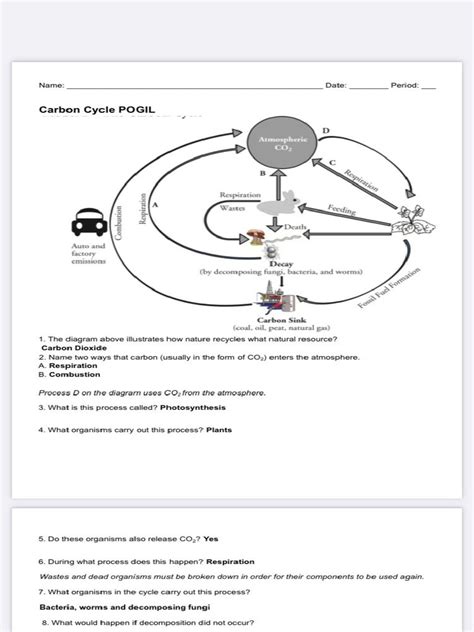 model 2 the carbon cycle pogil answers Reader