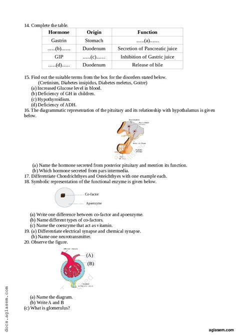 model question paper for plus one zoology Doc